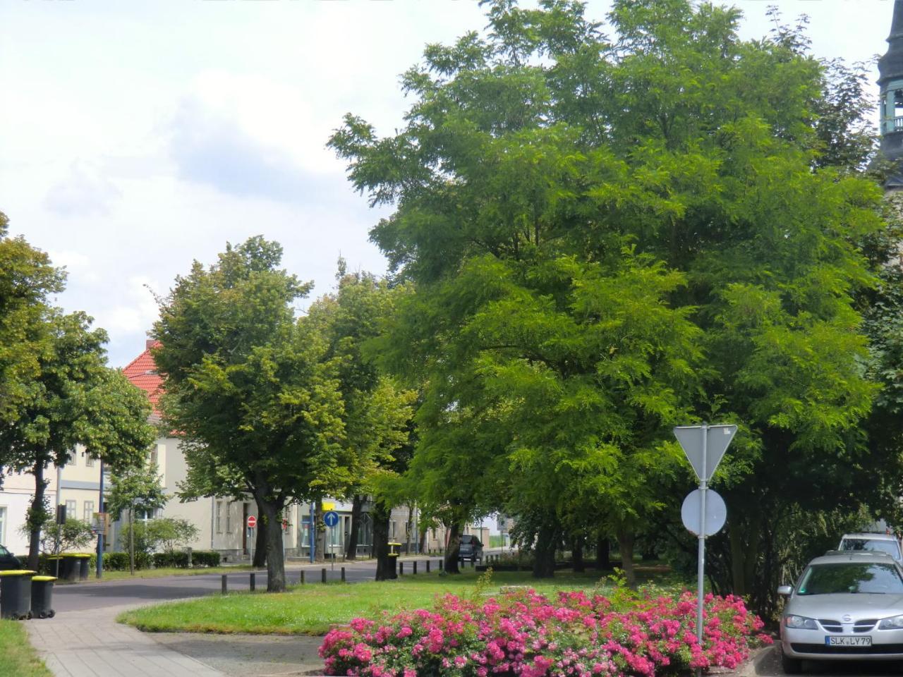 Ferienwohnung Rosenflair Шёнебек Экстерьер фото